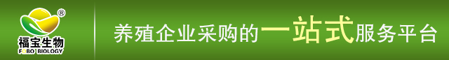 养殖户必看：想要避免蛋鸡只采食细料剩大颗粒料，只需处理这五点！