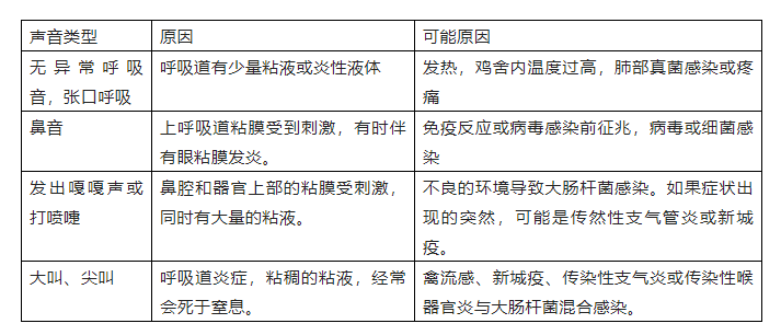 蛋鸡呼吸道疾病特有的信号