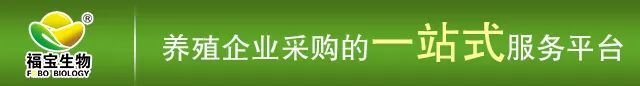 三大因素导致蛋鸡呼吸道疾病频发，如何有效预防？